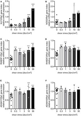 Differential Induction of the ADAM17 Regulators iRhom1 and 2 in Endothelial Cells